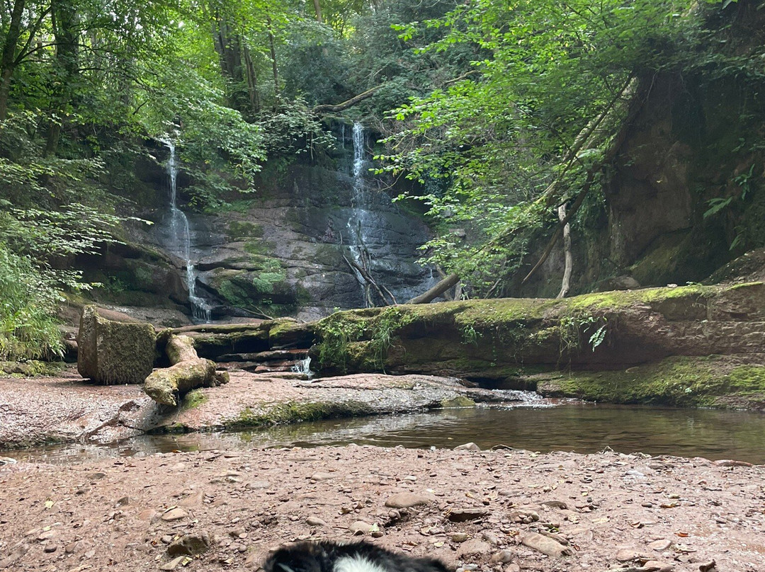 Pwll-y-wrach Nature Reserve-Talgarth必去景点