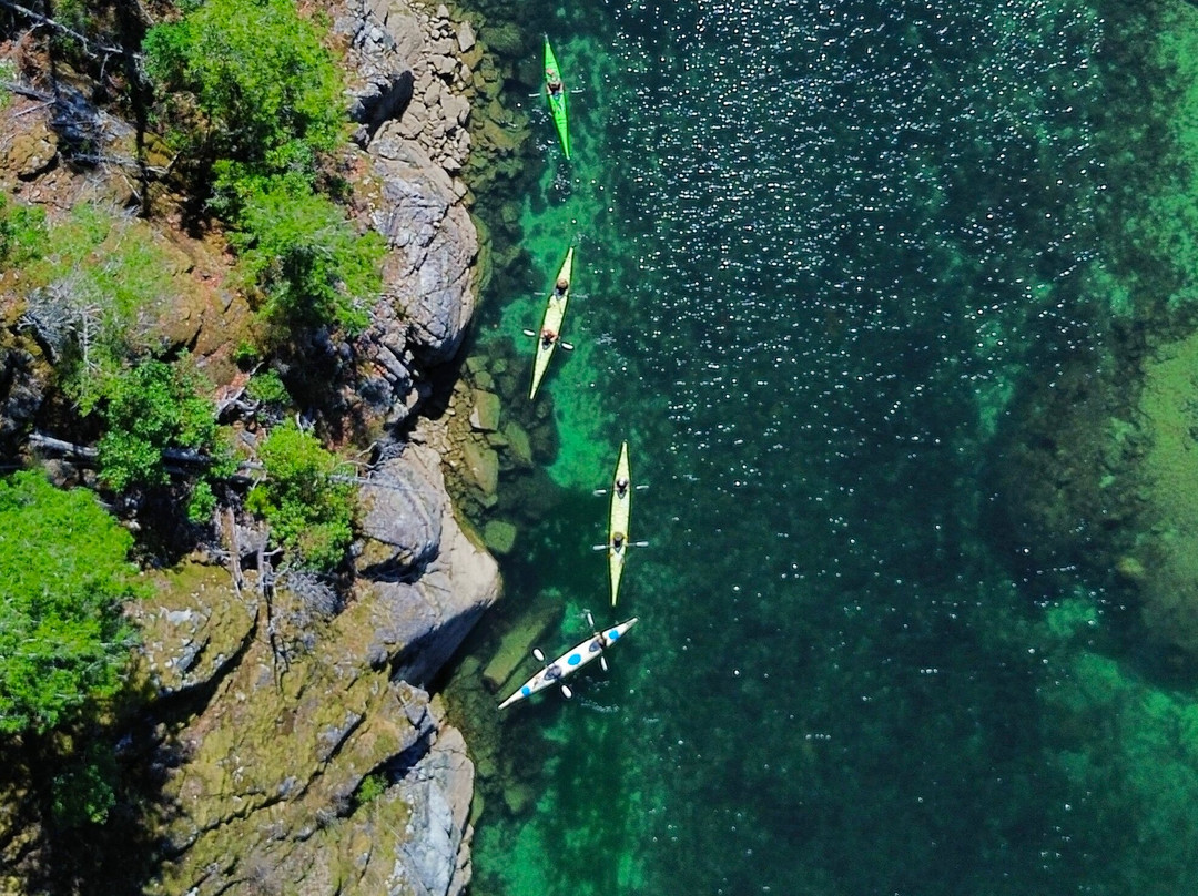 Powell River Sea Kayak-鲍威尔里弗必去景点