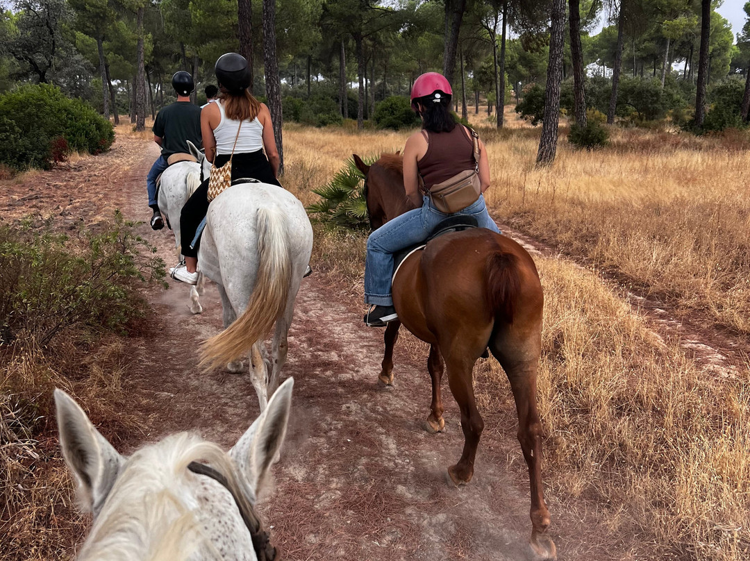 Dehesa Boyal-Villamanrique de la Condesa必去景点