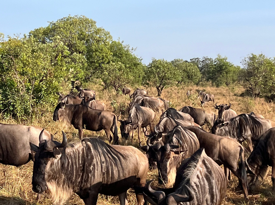 Travel Partners Safari-阿鲁沙必去景点