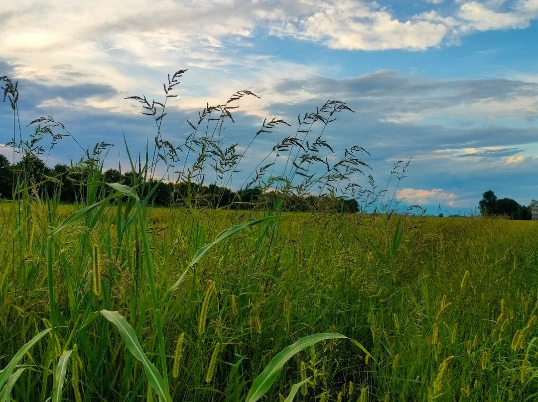 Azienda Agricola La Fagiana-Torre di Fine必去景点