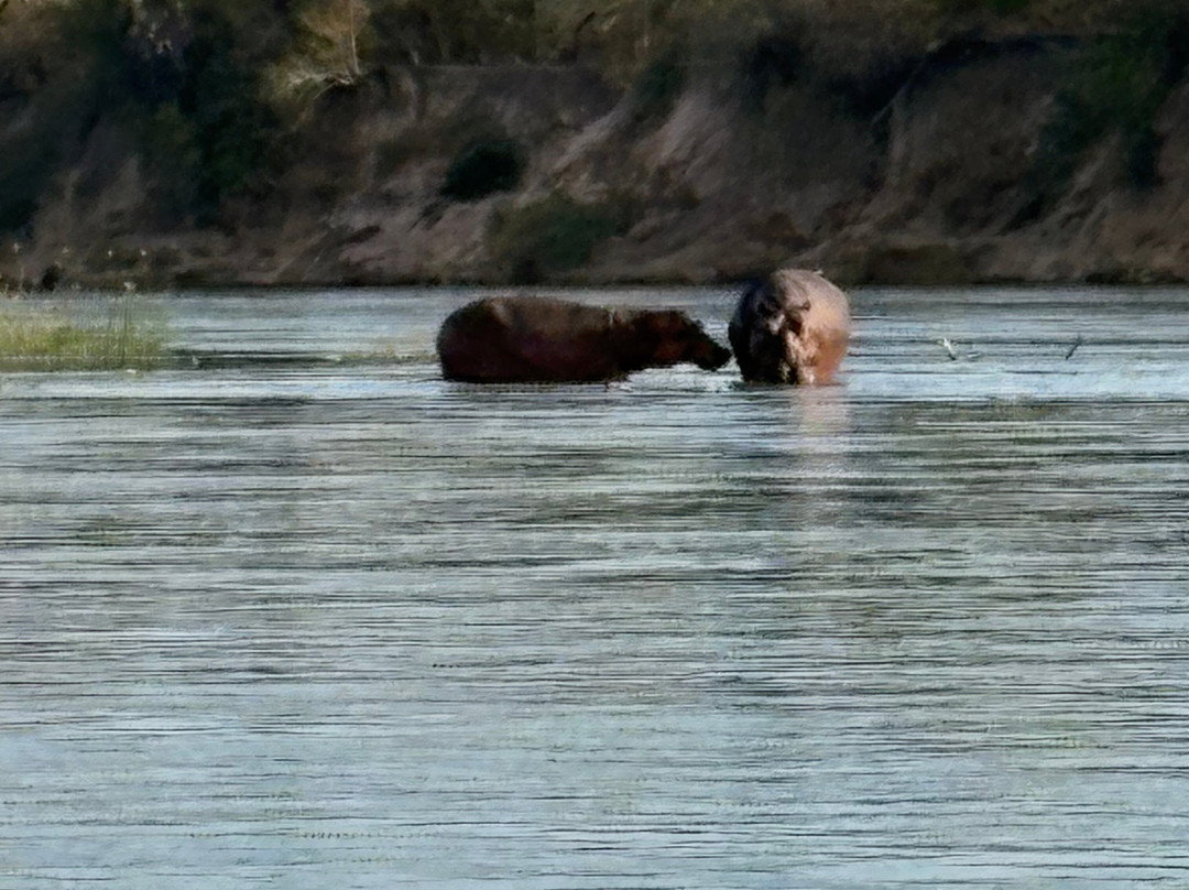 Asante Bibi Safaris And Tours-莫西必去景点