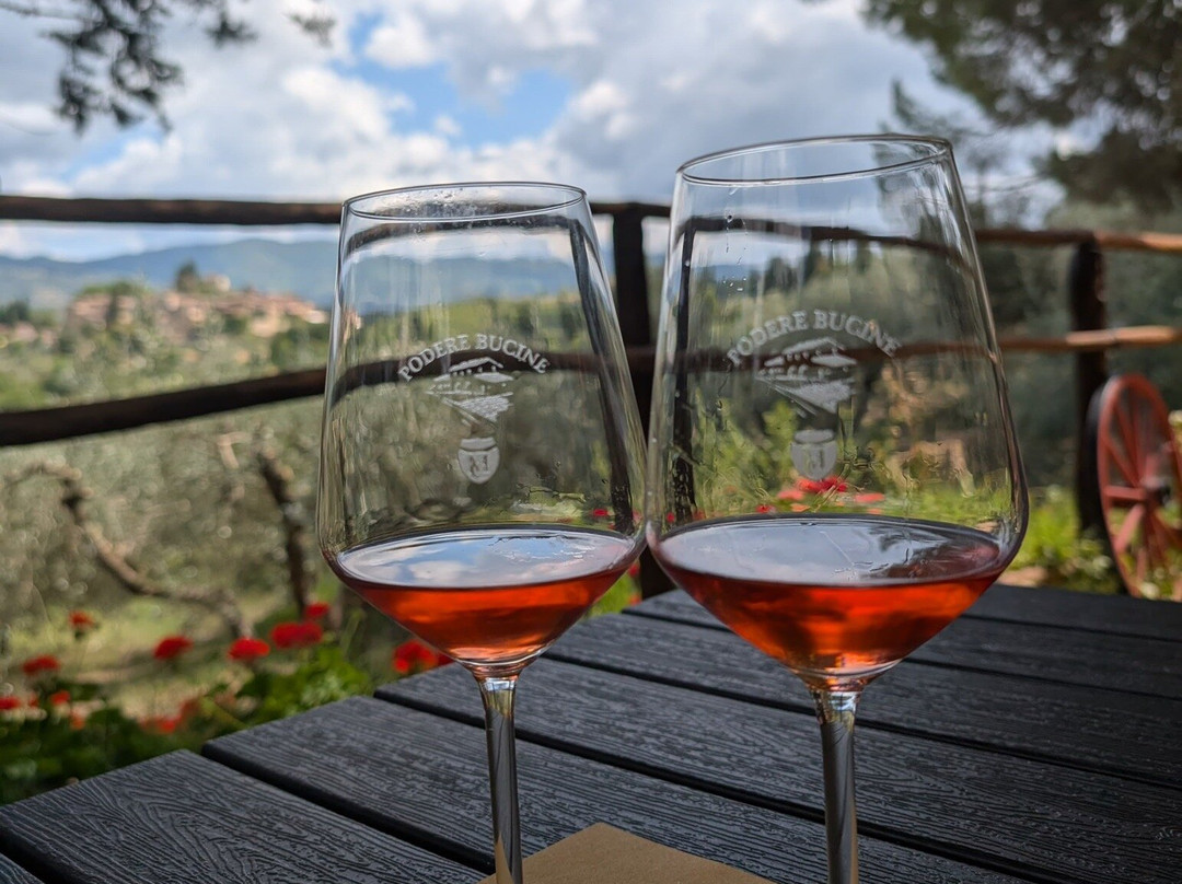 Podere Bucine Winery-格雷韦伊恩基亚恩蒂必去景点