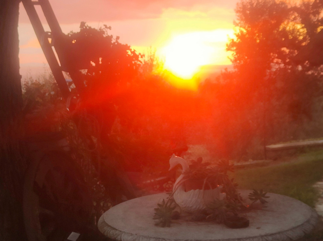 Isole e Tramonti主图