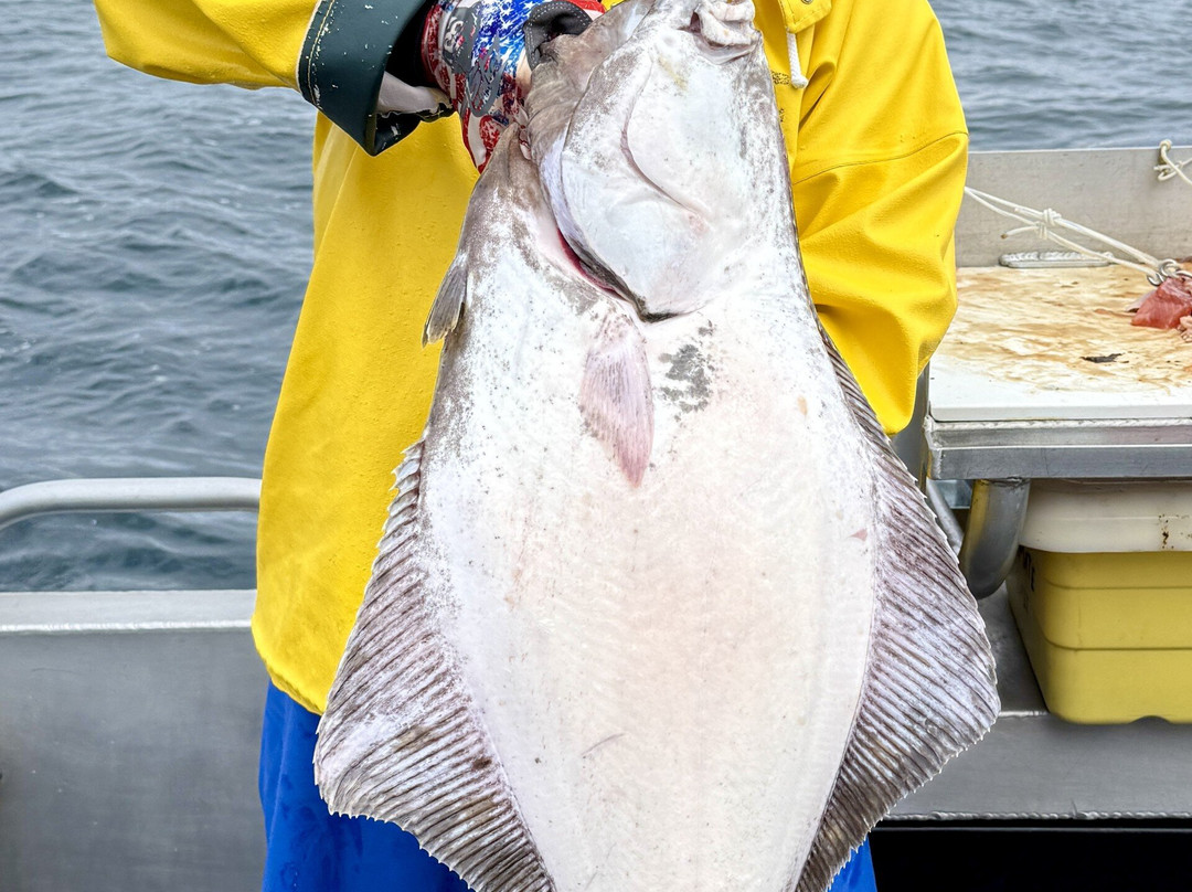 Wild Strawberry Lodge主图