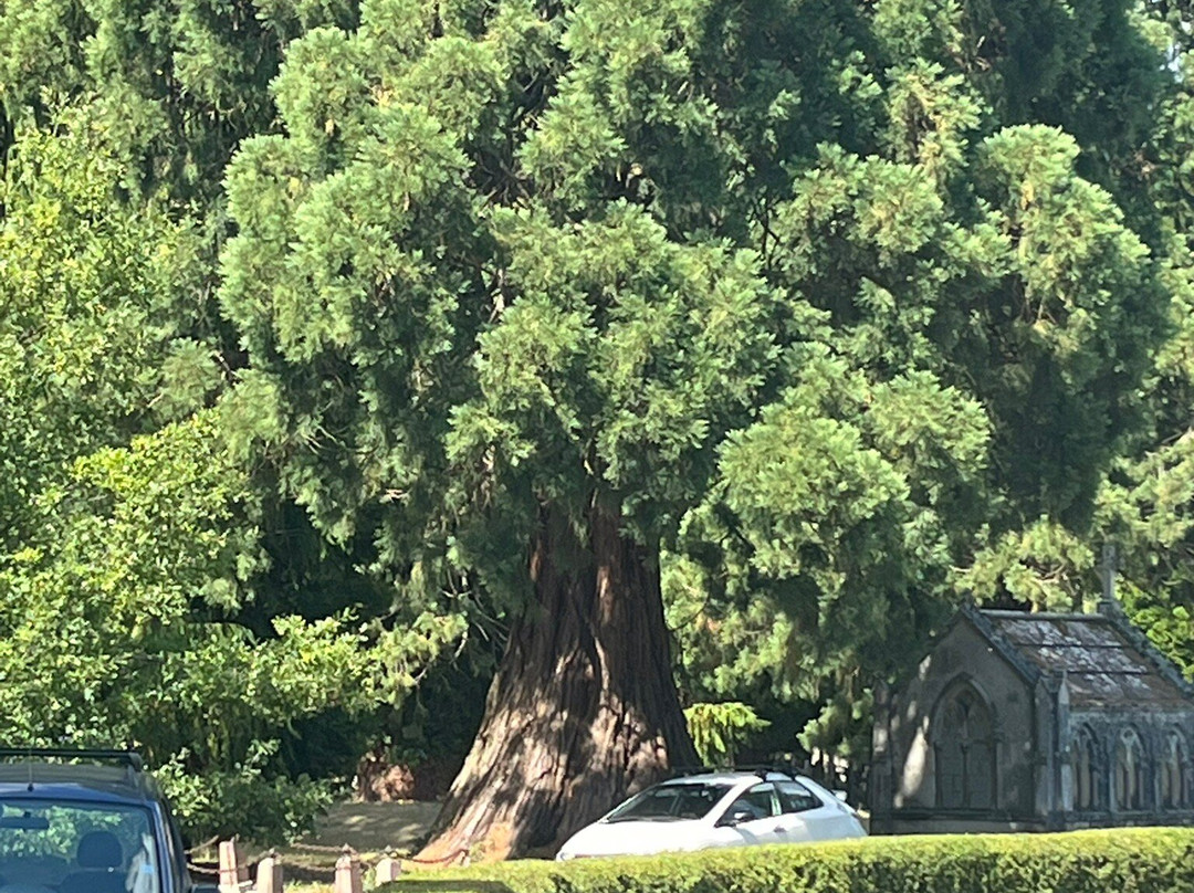 Brookwood Cemetery-沃金必去景点