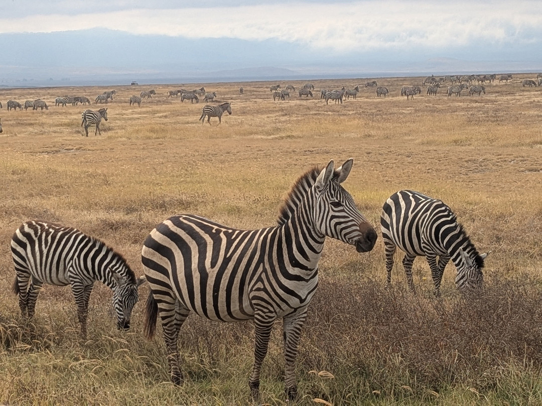 Tumbili-莫西必去景点