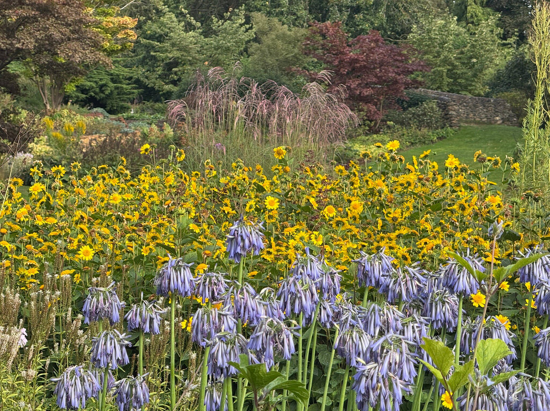Bressingham Steam Museum and Gardens-Bressingham必去景点