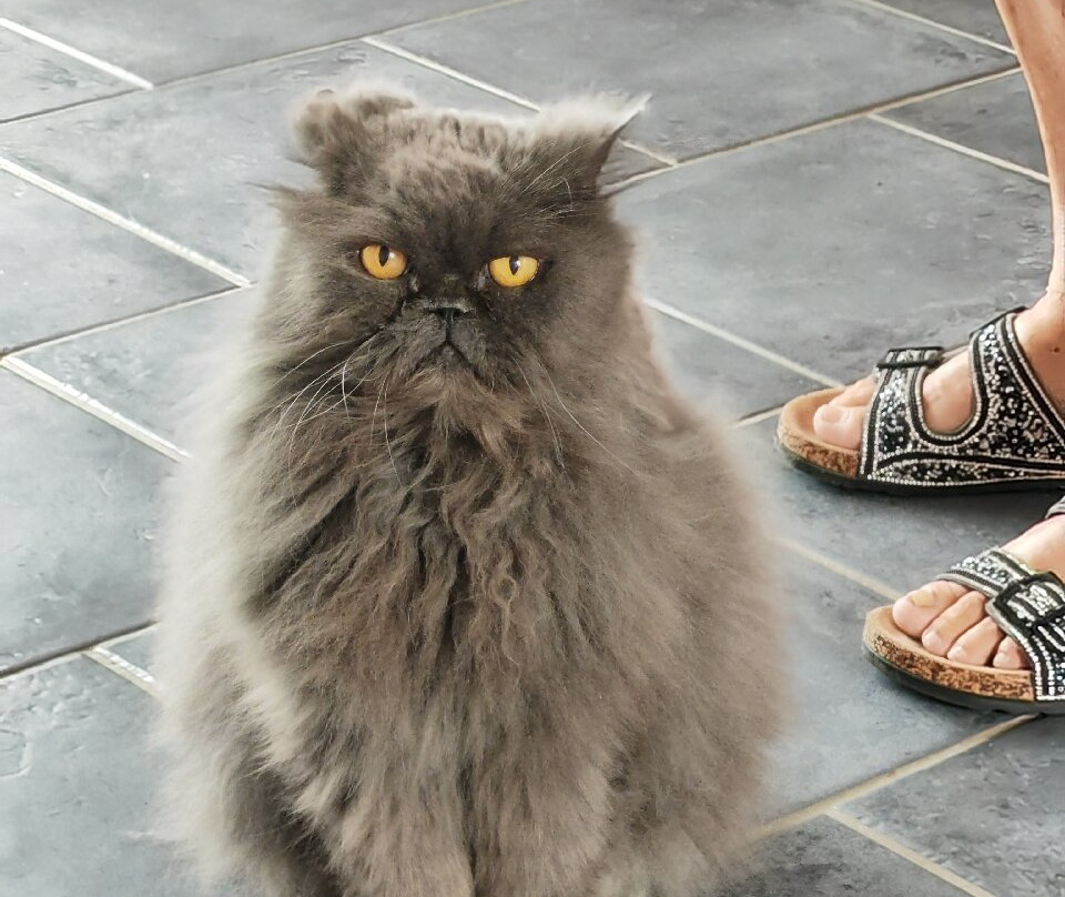 L'Hostellerie du Chateau主图