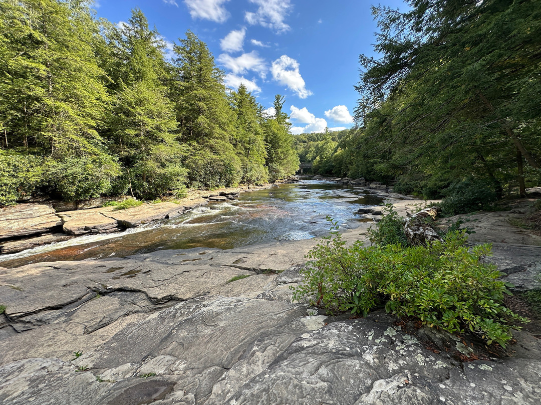 Swallow Falls State Park-Oakland必去景点