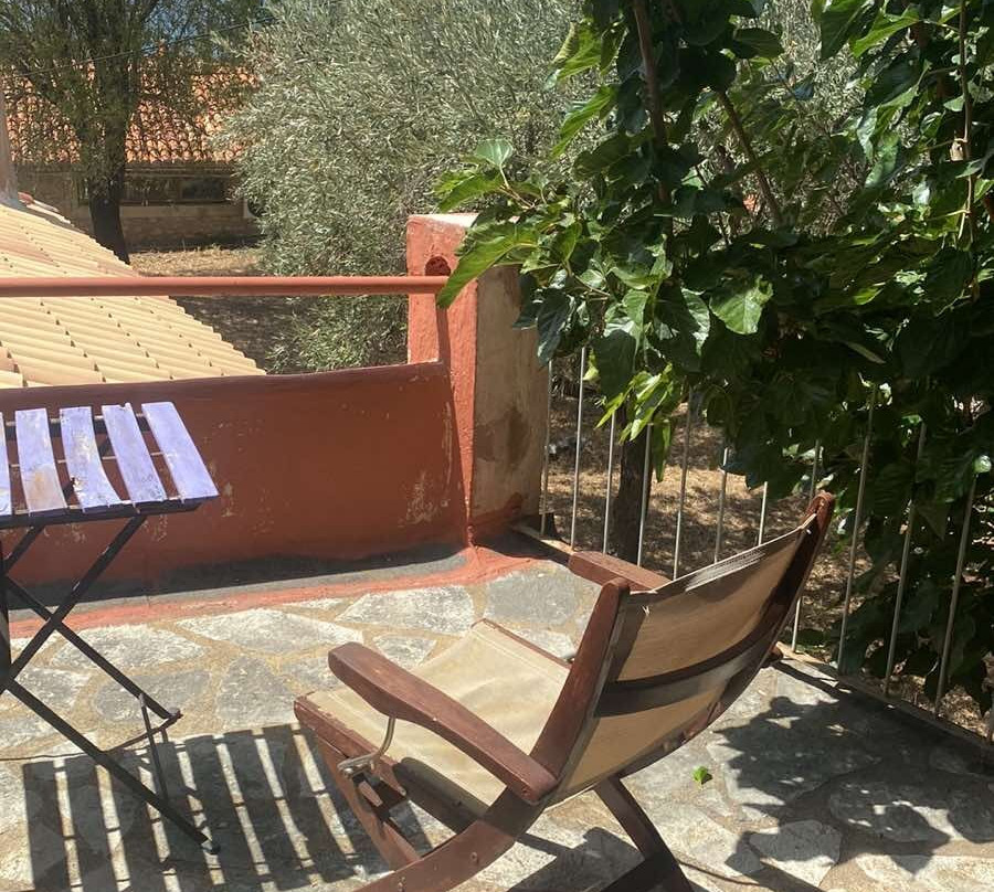 伊莱恩酒店主图