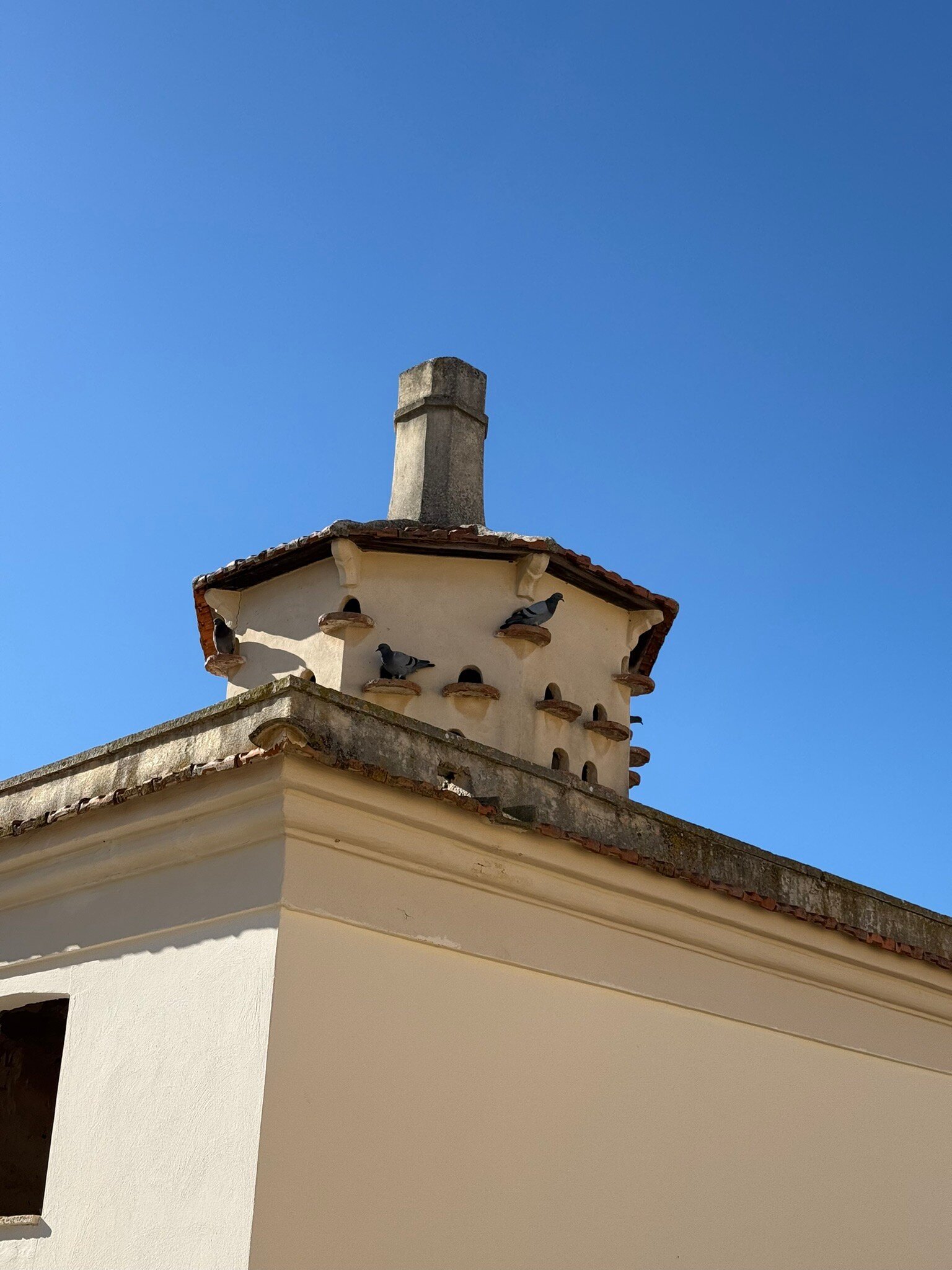 Lama di Luna - Biomasseria-官方