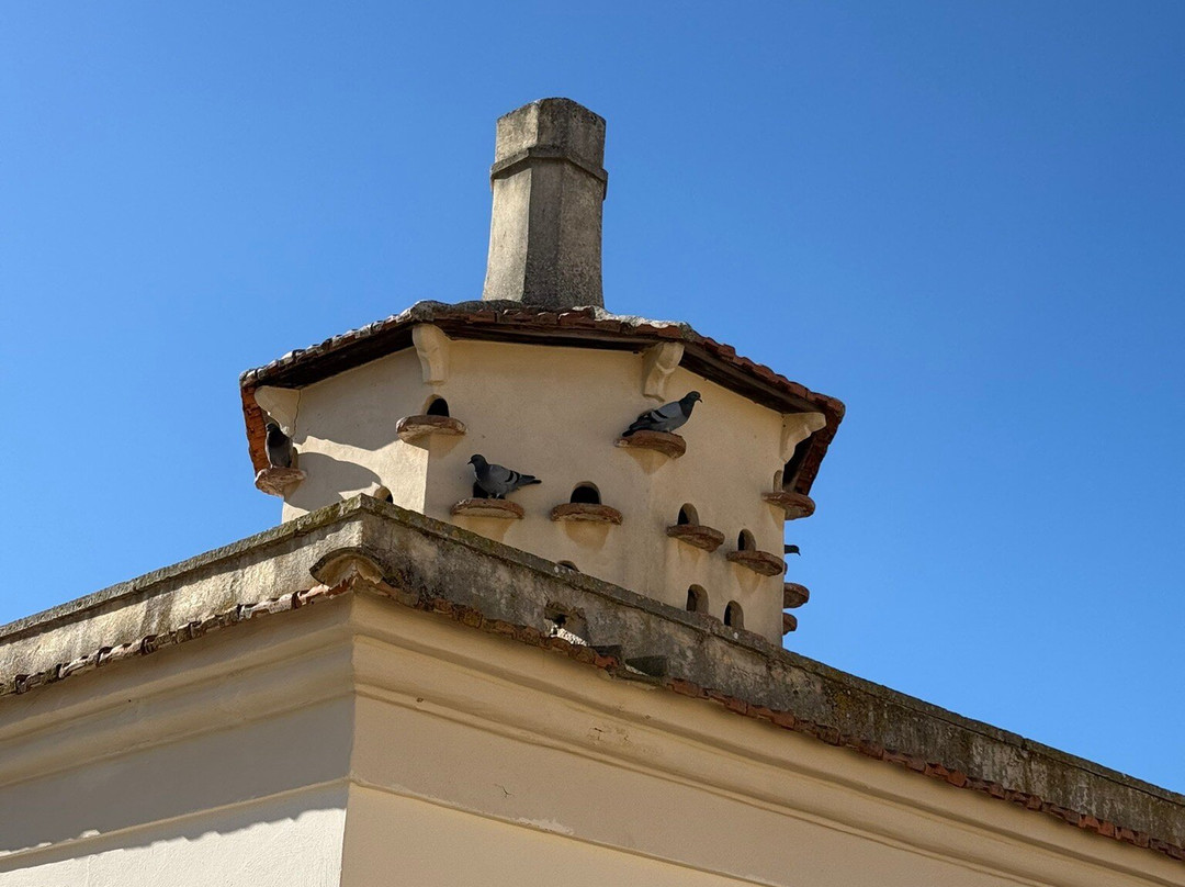 Lama di Luna - Biomasseria主图