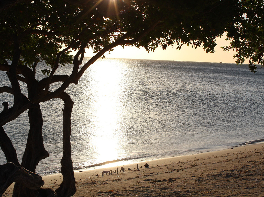 Surfside Beach-奥腊涅斯塔德必去景点