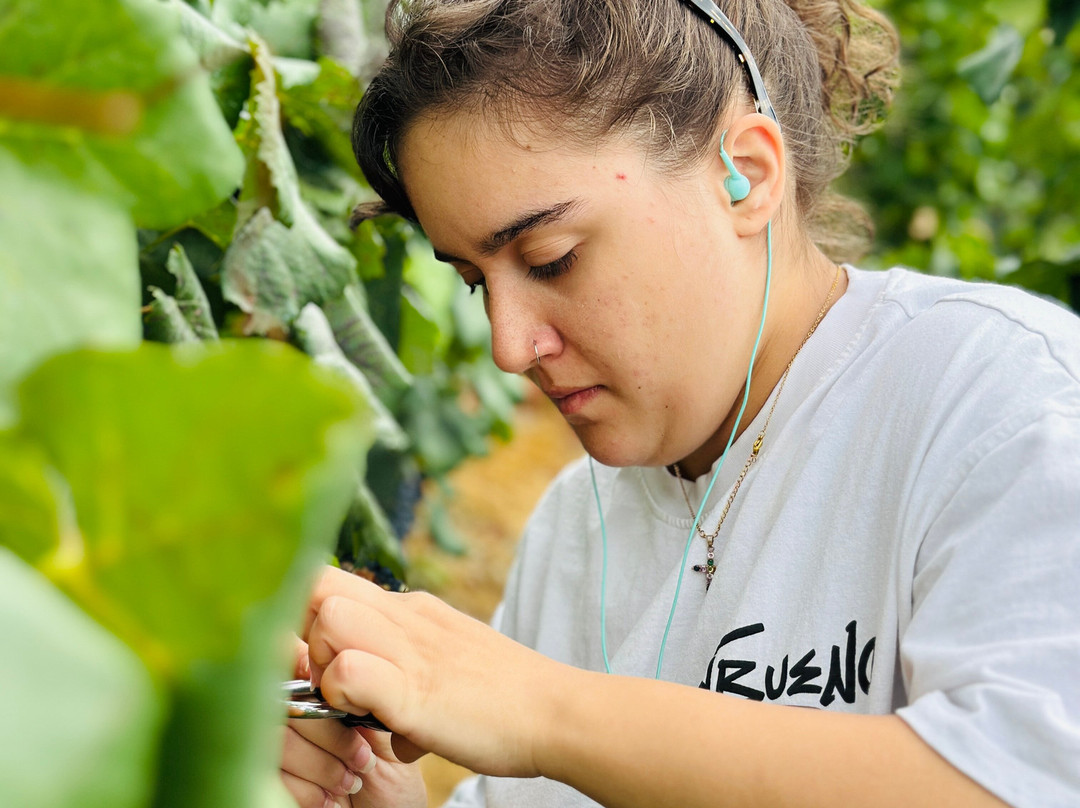El Secreto Del Monje-Panton必去景点