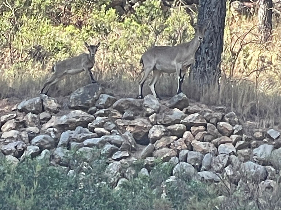 Hotel Rural El Prat主图