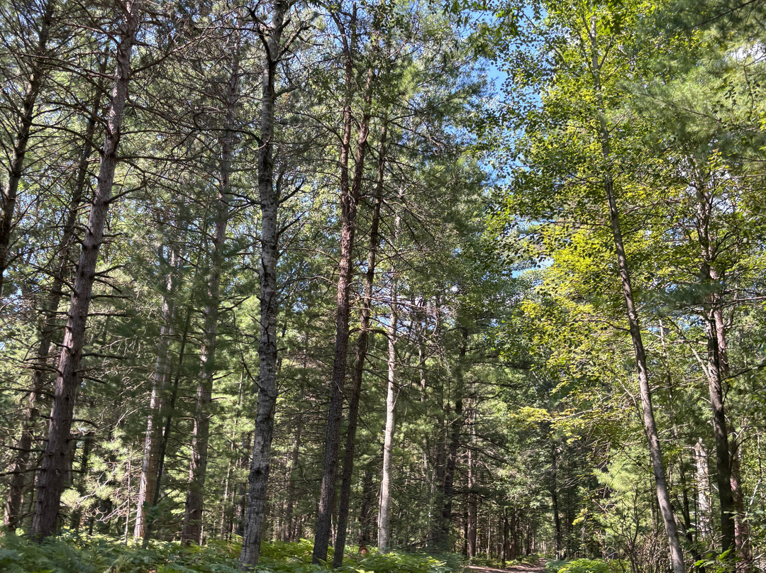 Memories Traverse City Rental-Grawn必去景点