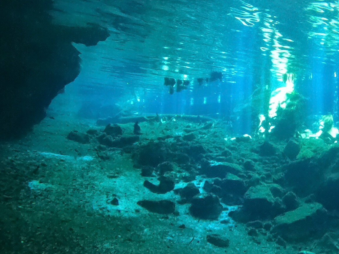 Mandala Divers and Tours-普拉亚德尔卡曼必去景点