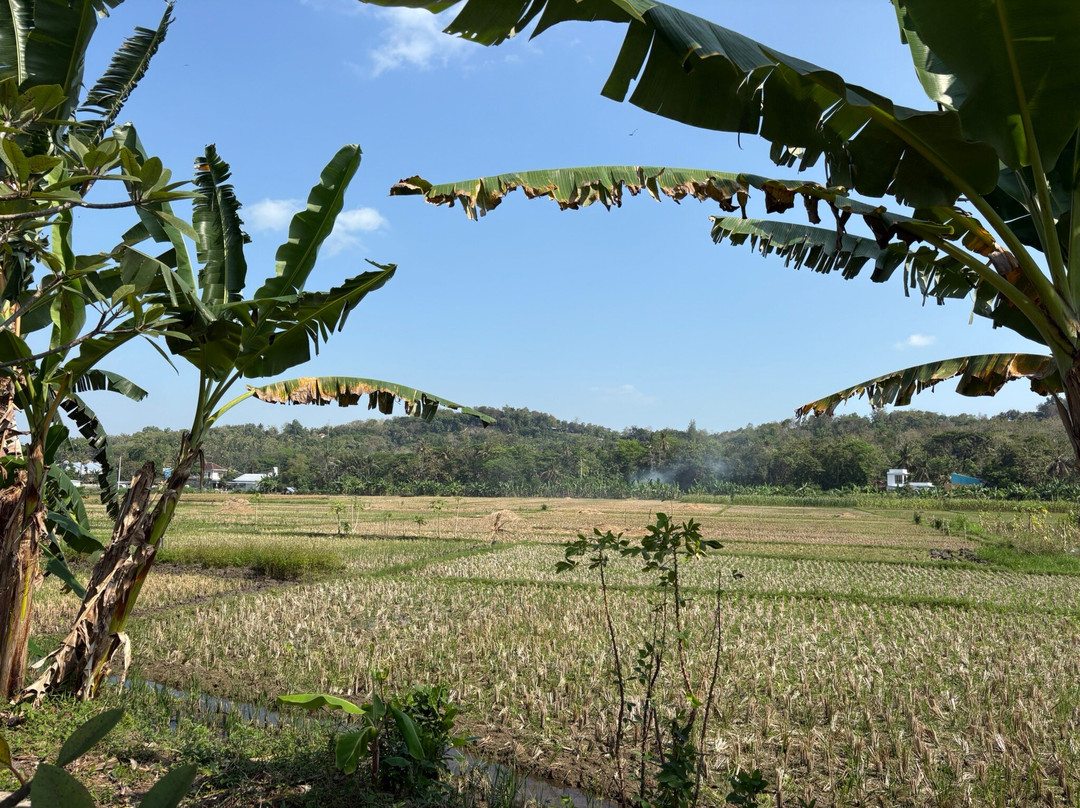 Blue Garden Yogyakarta主图