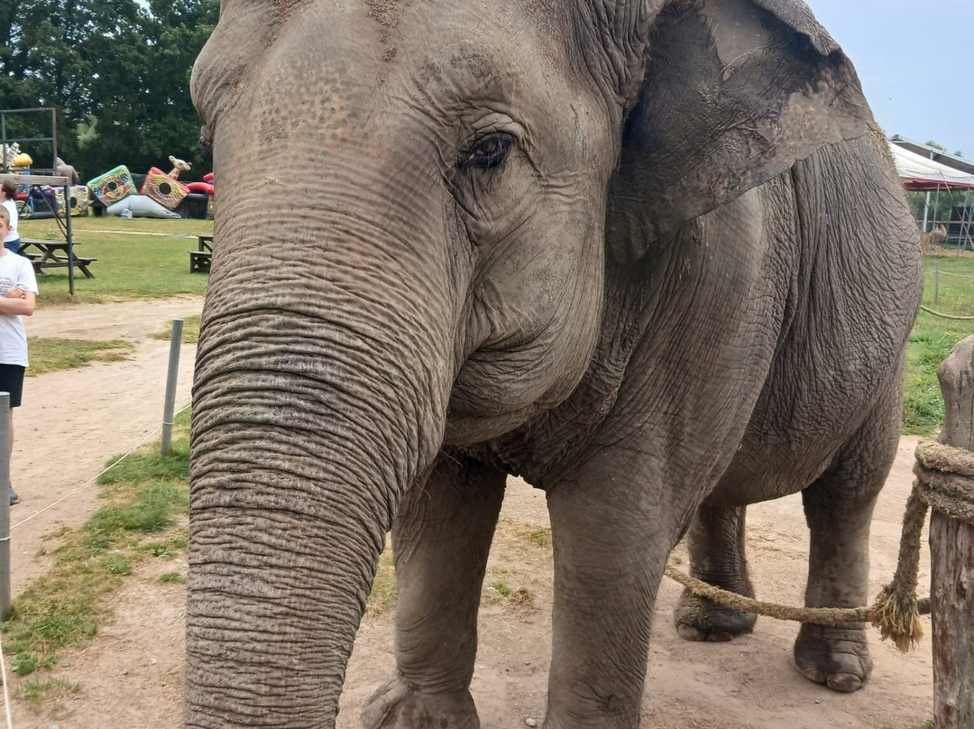Elefantenhof Platschow-Platschow必去景点