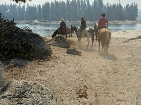 Shaver Stable-Shaver Lake必去景点