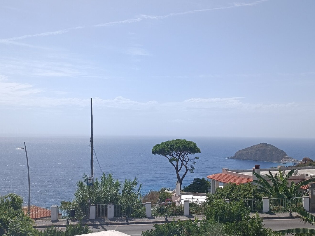 Albergo Villa Giusto主图