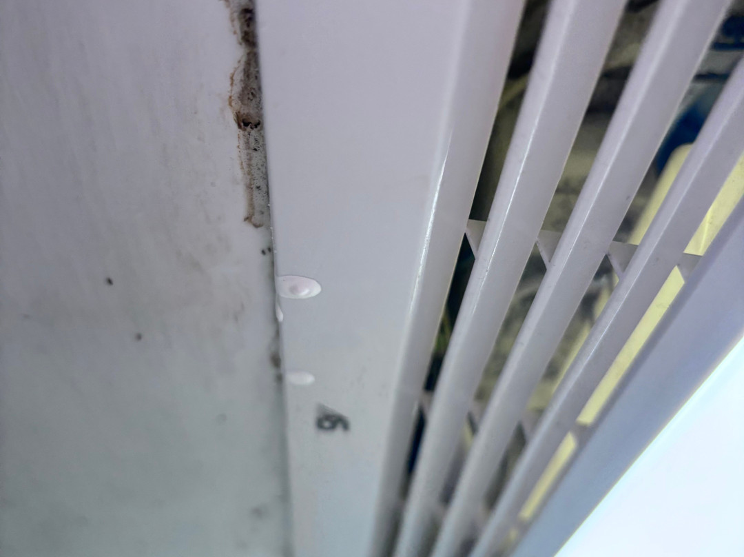 La Quinta Inn & Suites by Wyndham-Albany GA主图