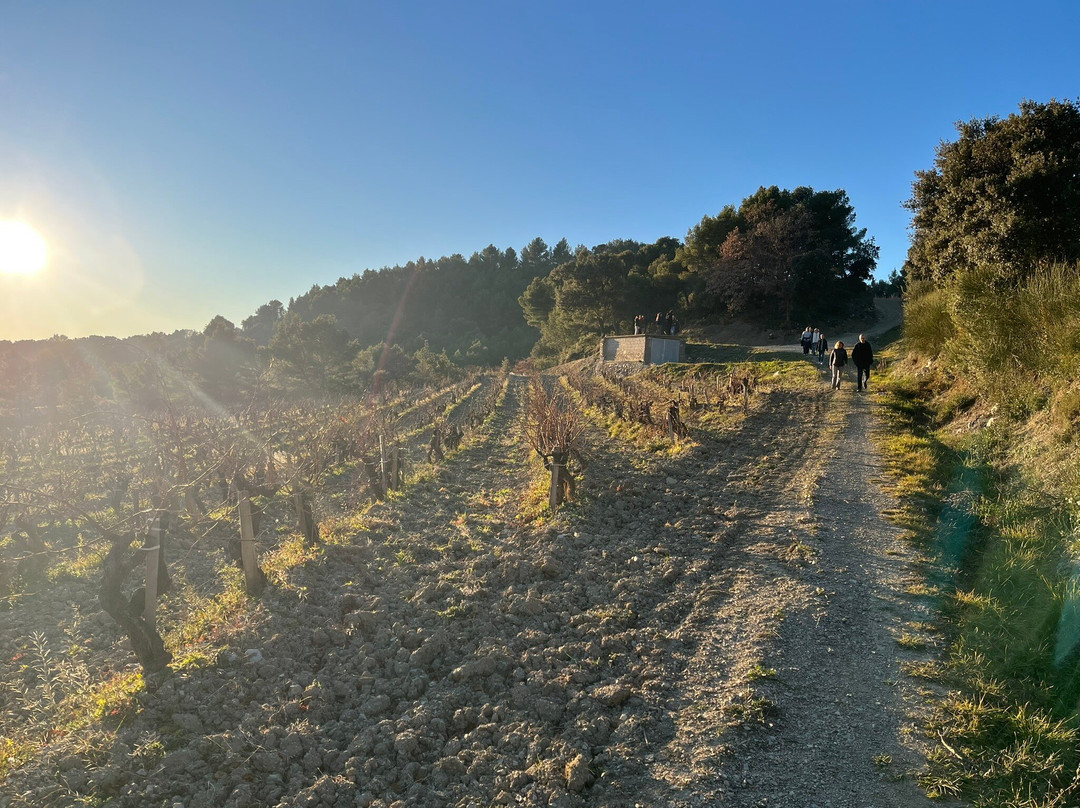 Dentelles De Montmirail-Gigondas必去景点