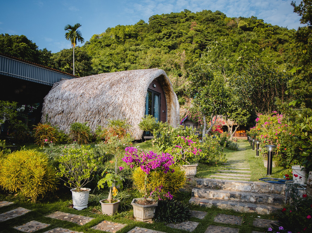 Green Homestay主图