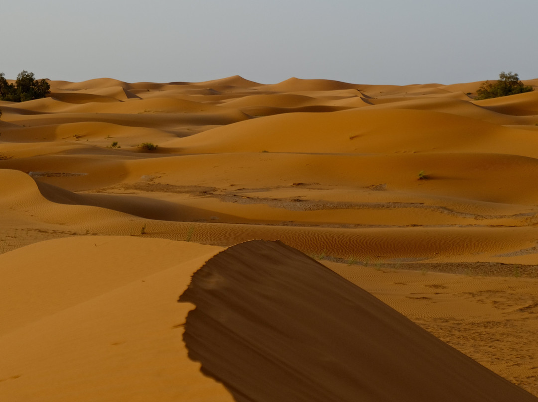 Your Morocco Tour-马拉喀什必去景点