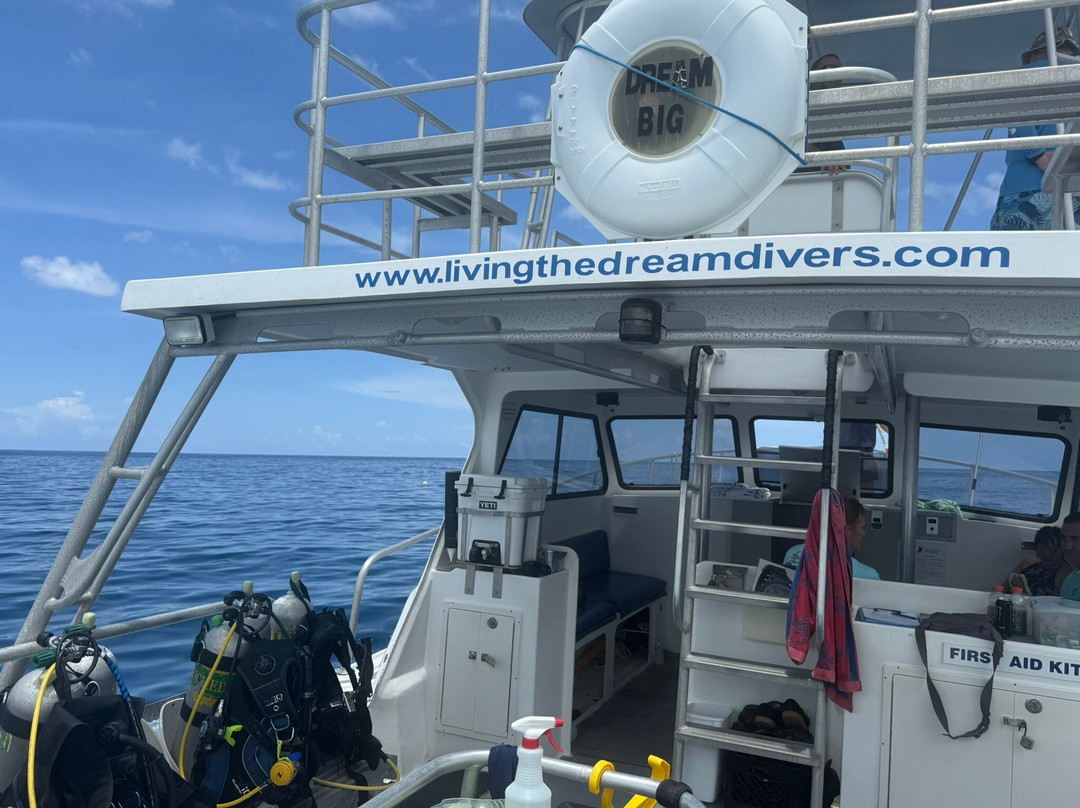 Living The Dream Divers-七哩滩必去景点