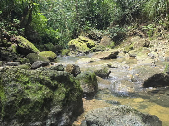 Tours by Rafael-圣胡安必去景点