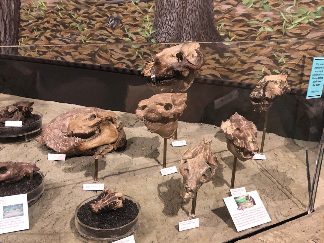 John Day Fossil Beds National Monument-John Day必去景点