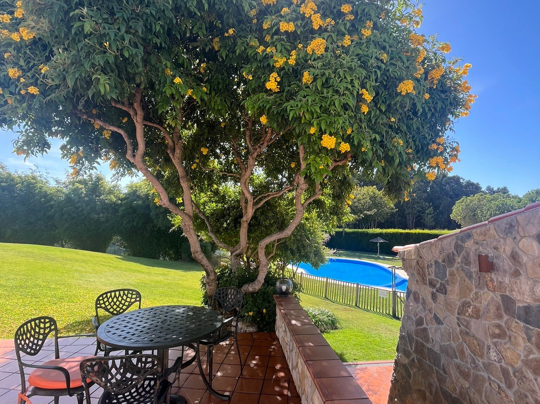 Monte Joao Roupeiro主图