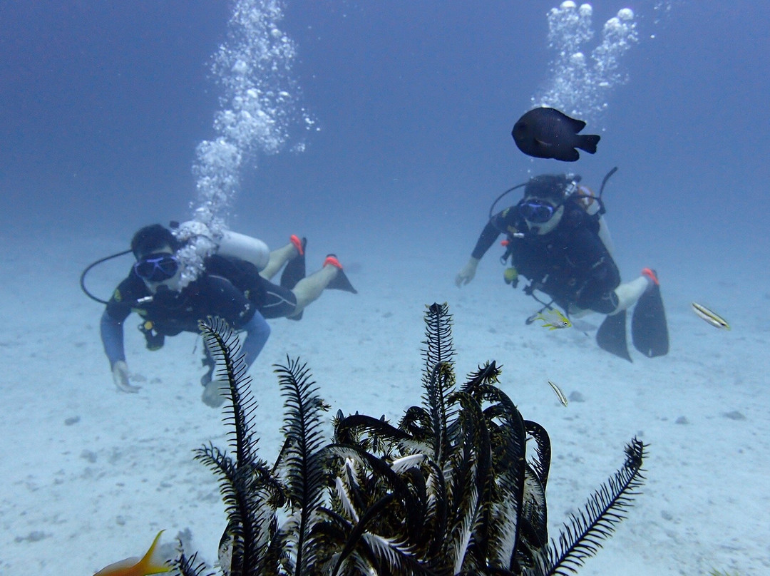 Mantaraydiving-普吉镇必去景点