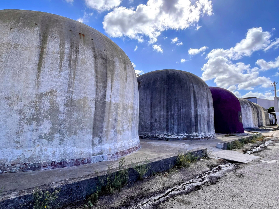 Adega de Palmela-Palmela必去景点