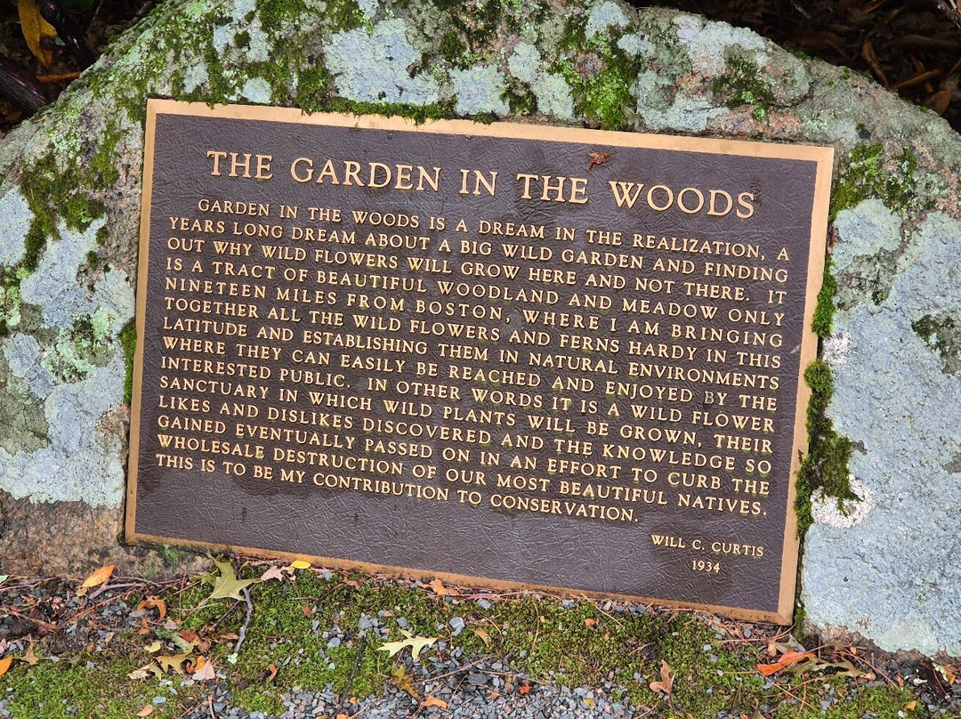 New England Wild Flower Society Garden in the Woods-弗雷明汉必去景点