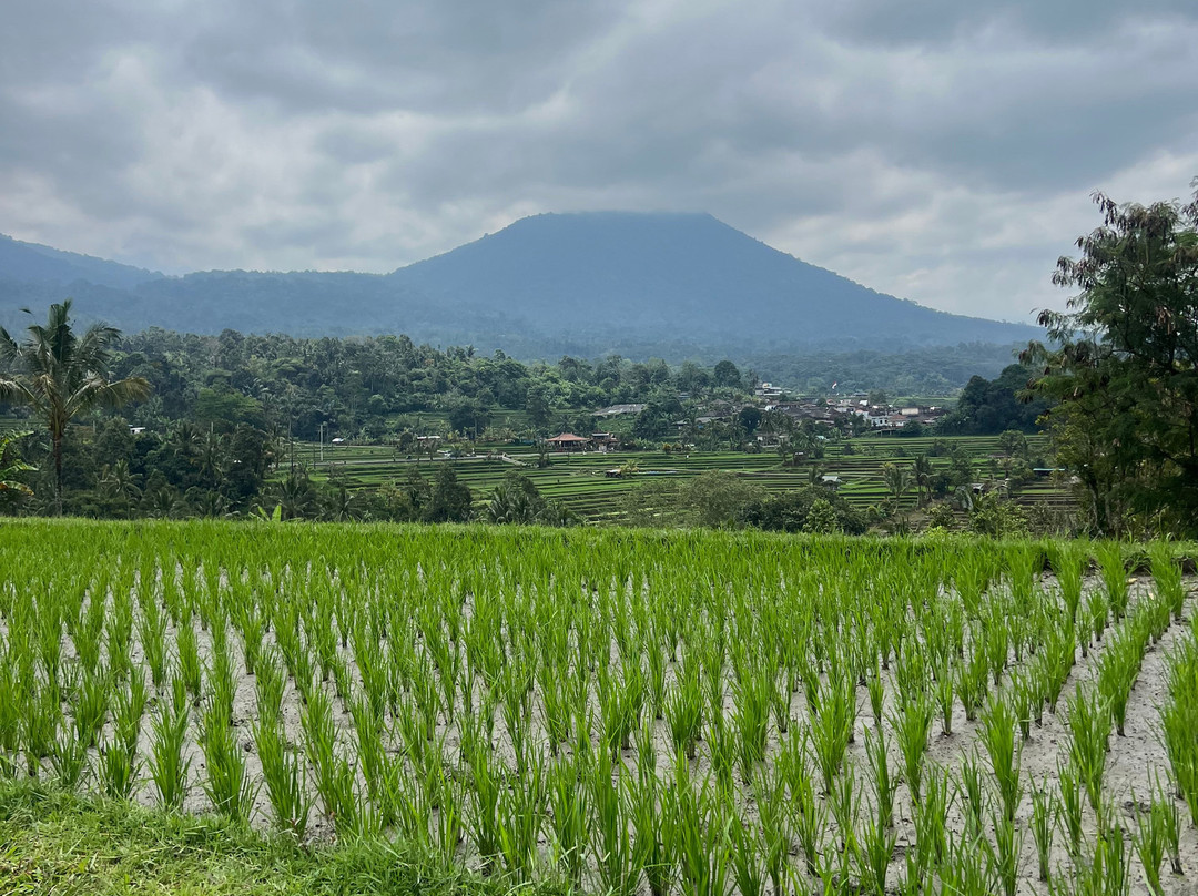 Bali Dreamscape Tour-Kerobokan Kaja必去景点