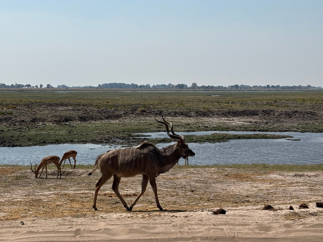 Kalahari Tours-卡萨尼必去景点