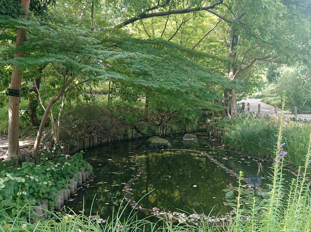 Akatsuka Botanical Gardens-板桥区必去景点