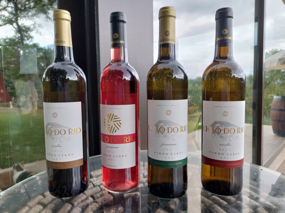 ENOTECA-Vinhos CHÃO DO RIO na Quinta da chouza agroturismo e enoturismo