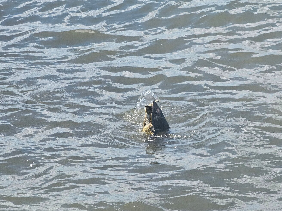 哈雷瓦海滩公园-哈雷瓦必去景点