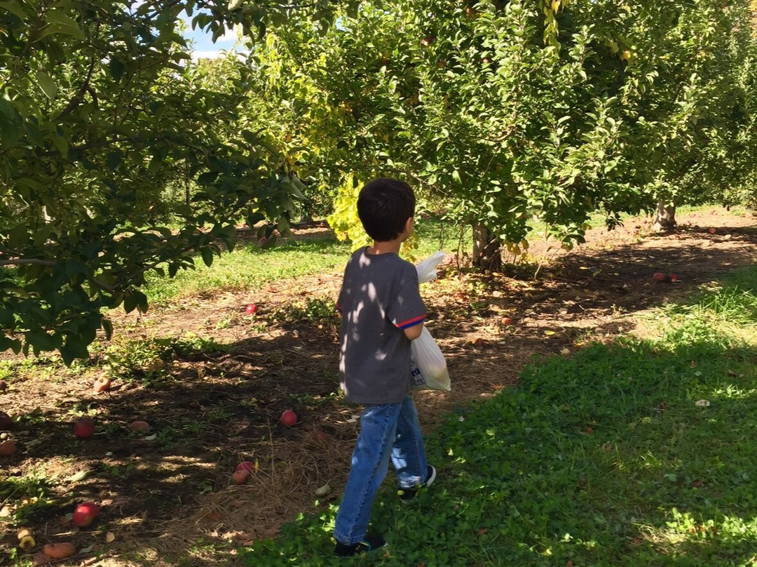 Jaswell’s Farm-Smithfield必去景点
