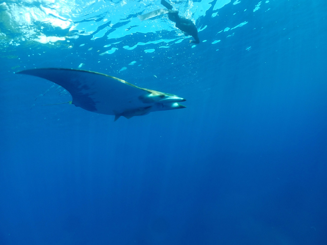 Azores Freediving-波尔图镇必去景点