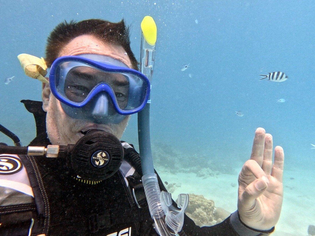 Dive Spirit Mauritius-卓欧毕雪必去景点