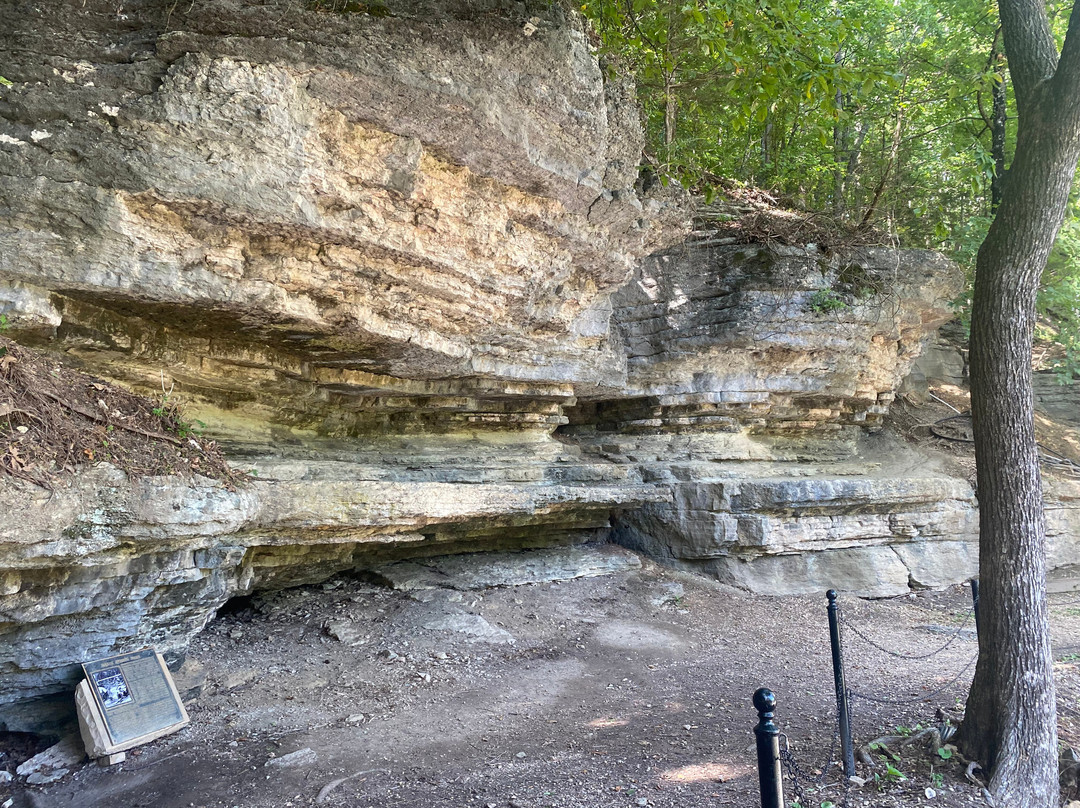 Basin Spring Park-尤里卡斯普林斯必去景点