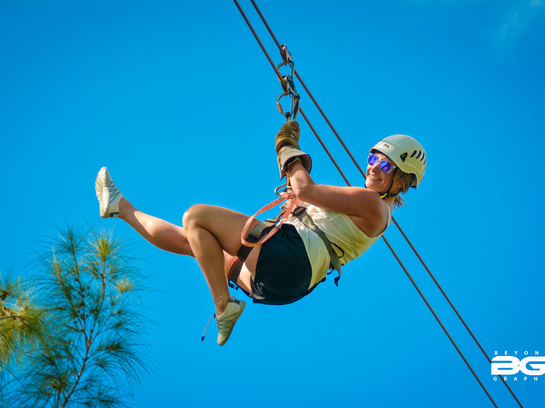 Beyond Graphx-弗里波特必去景点