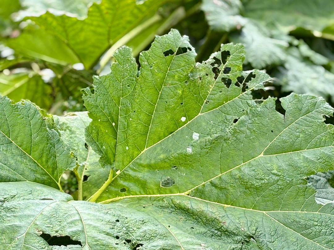 Dale Head Hall Lakeside Hotel主图