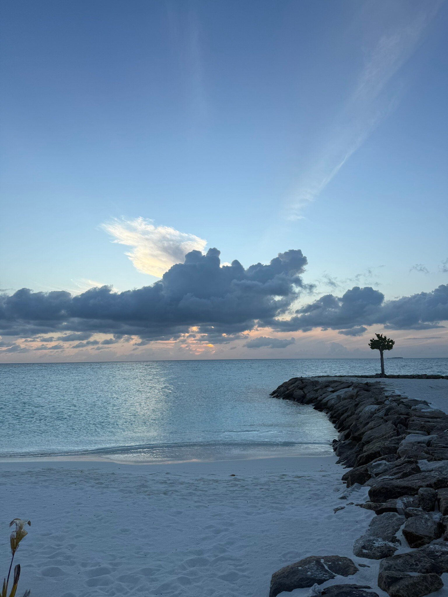 Fulidhoo Ihaa Lodge-官方