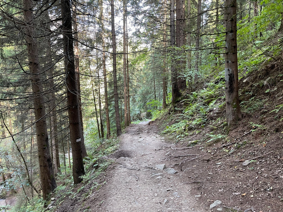 Cascade Du Dard-La Giettaz必去景点